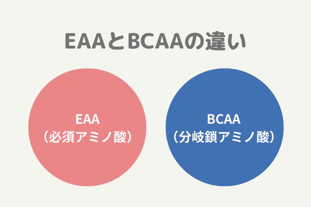 eaa と bcaa どっち が いい